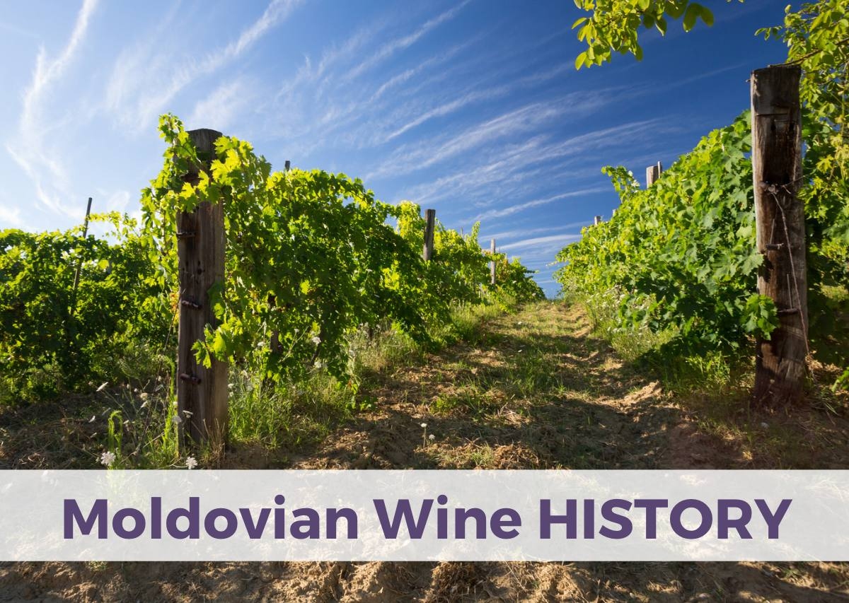 Un ghid complet al regiunilor viticole din Moldova: Descoperă terroir-ul și soiurile locale