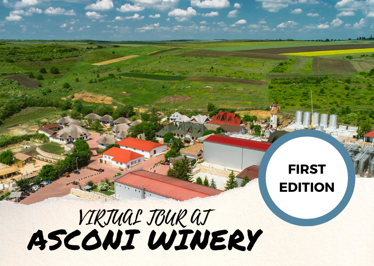 Walk with us through the beauty of the Asconi winery ❤️