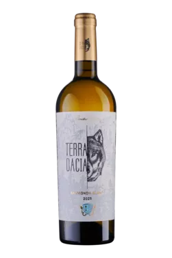 TERRA DACIA Sauvignon Blanc Dry white wine Limited Edition 2021 0.75L  alc. 12,5% photo 1