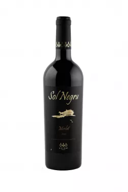 Asconi SOL NEGRU Merlot Red Dry Wine 0.75l photo 1