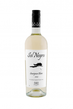 Asconi SOL NEGRU Sauvignon Blanc White Wine 0.75L photo 1