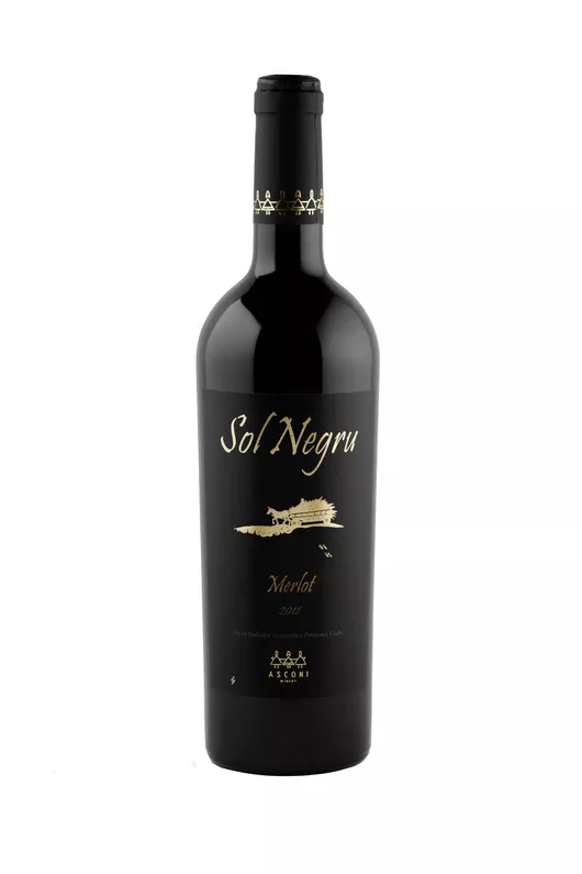 Asconi SOL NEGRU Merlot Red Dry Wine 0.75l photo 1